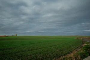 АГРОТРЕЙД розпочав посівну озимої пшениці: нові підходи